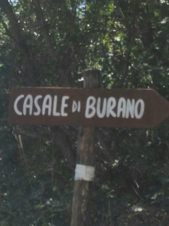 Casale Di Burano Apartment Onano ภายนอก รูปภาพ